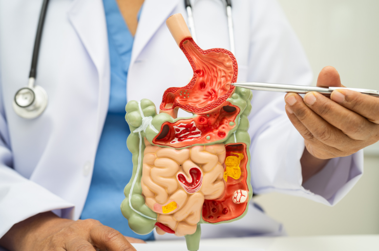 Gastroenterology